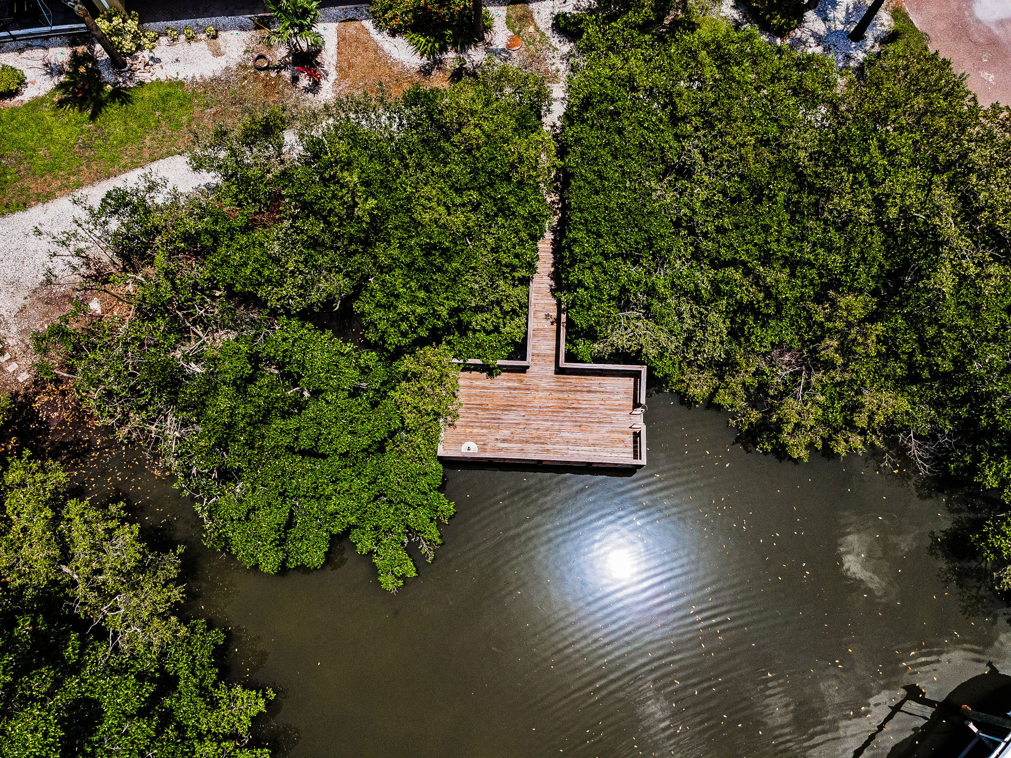 Cove Aerial (18)
