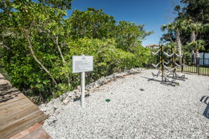10-Community Dock