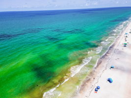Cove Aerial (3)