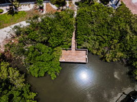 Cove Aerial (18)
