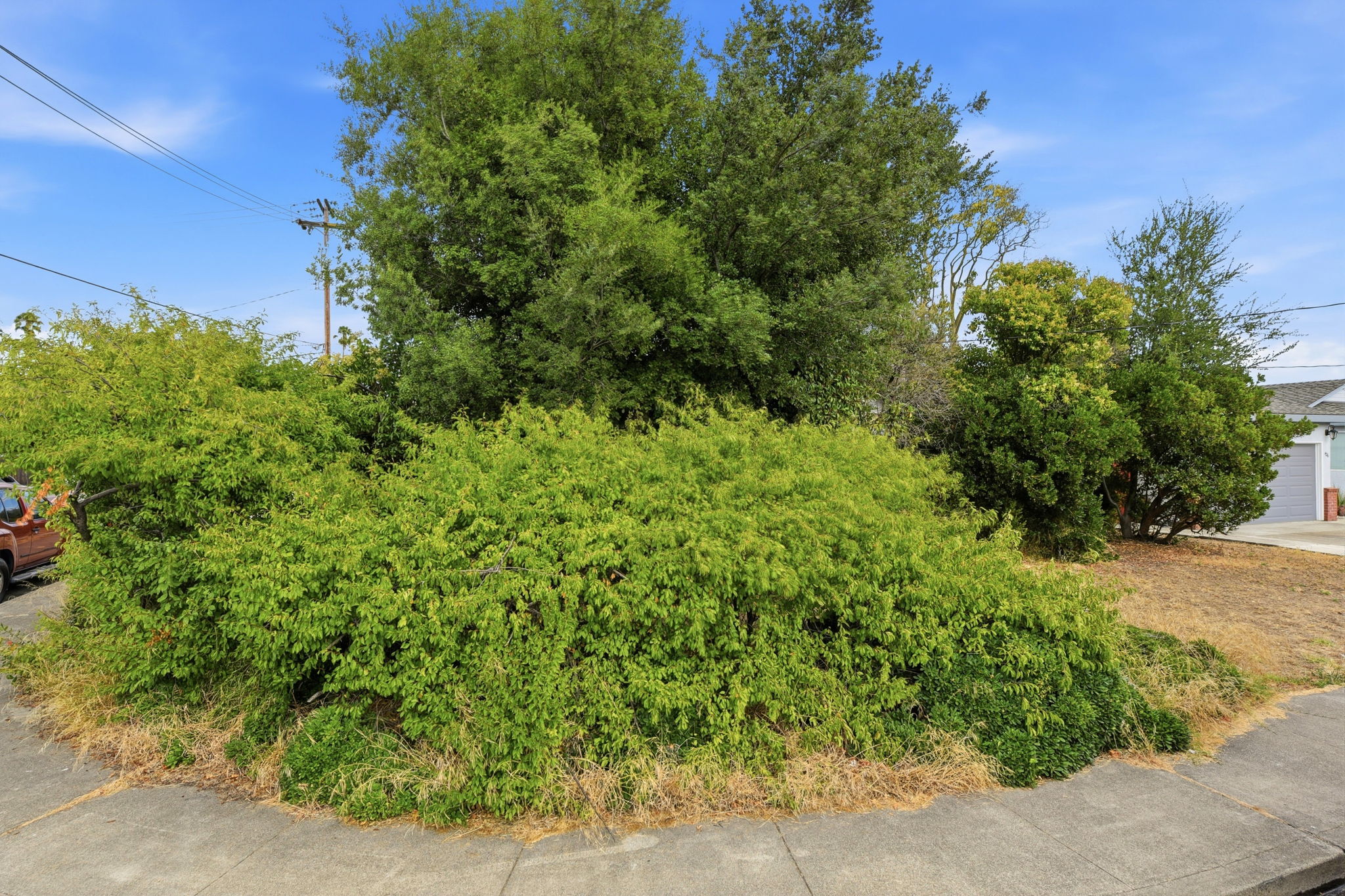  Photo 43