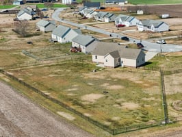 Labrador Ct-059.jpg