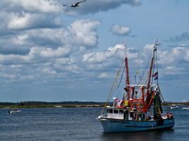 Fishing on Amelia Island is legendary, and its known as the birthplace of the shrimping industry...
