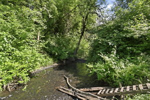  Photo 33