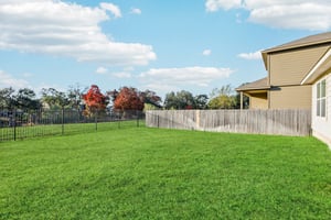 Royal Palm Way-S2012-040.jpg