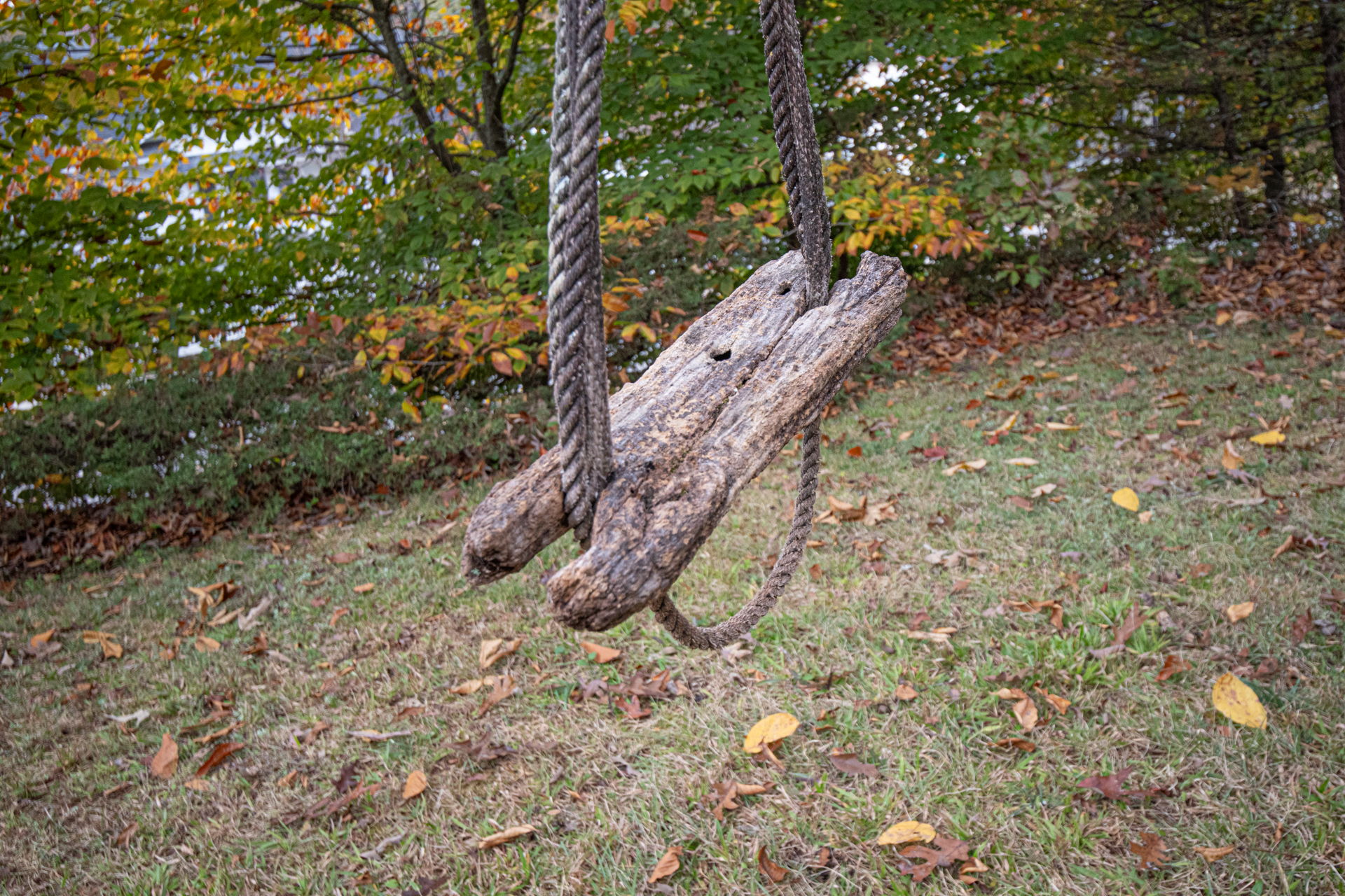  Photo 30