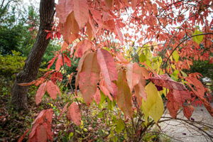  Photo 57