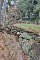  Photo 47