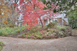  Photo 31