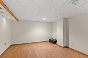 Lower Family Room