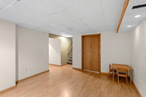 Lower Family Room