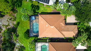 Aerial Overview