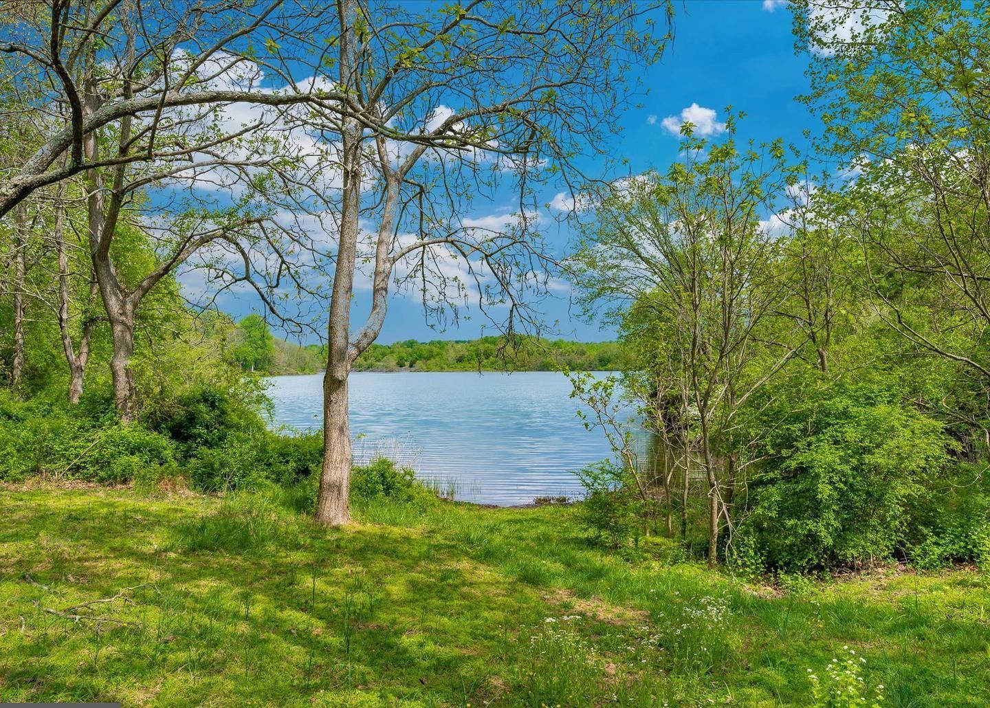 Hike Through The Rear Woods Down To The Lake