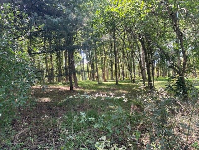Wooded Portion Of The Lot Beyond The Fence