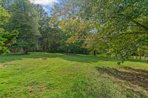 More Of The Spectacular Rear Yard