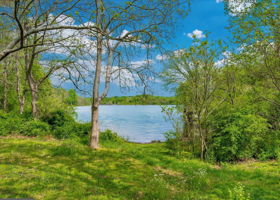 Hike Through The Rear Woods Down To The Lake