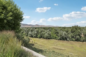 Balsam Dr-L0509-063.jpg