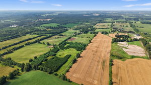  Photo 90