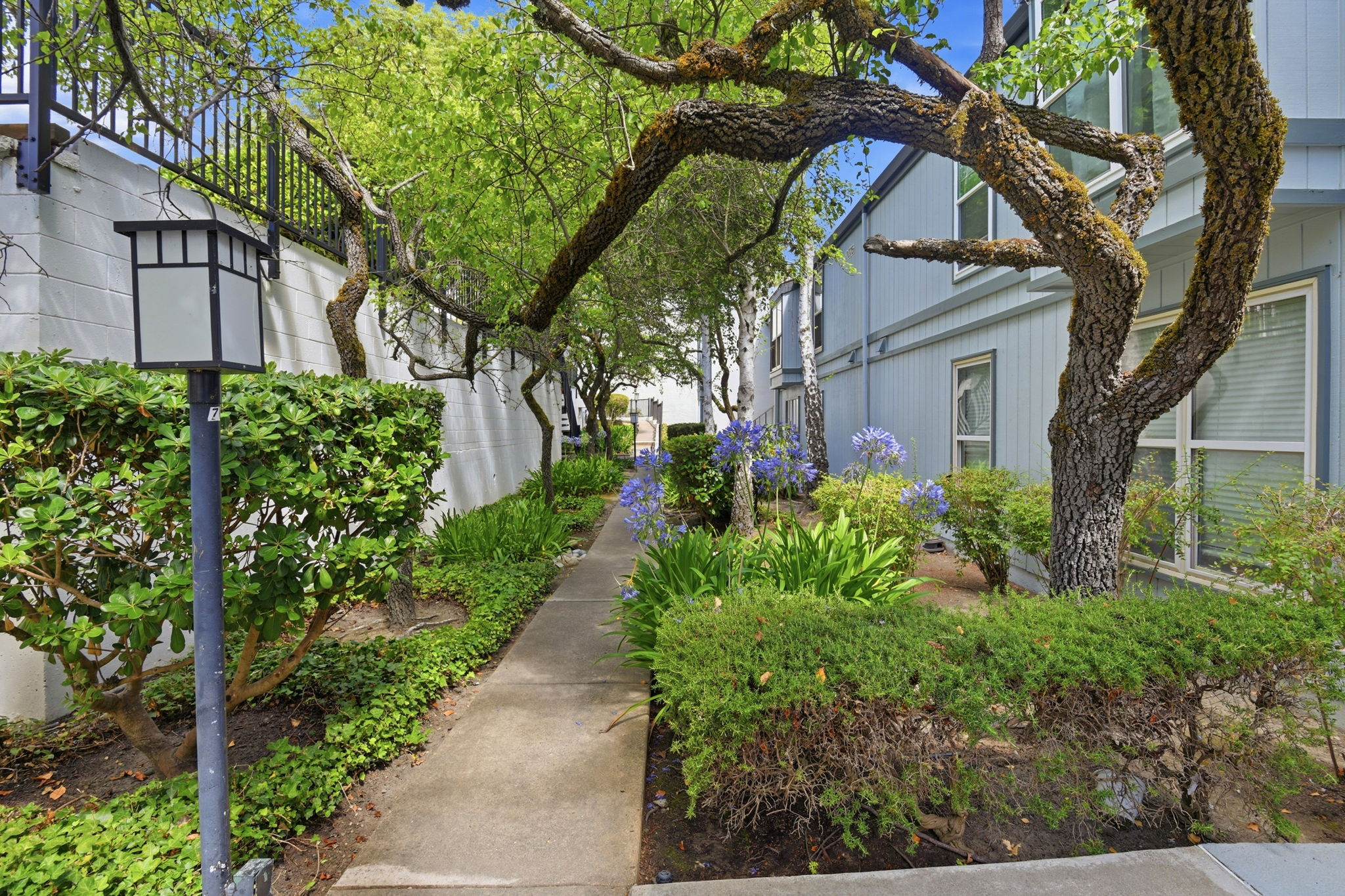 043_F8_2087 Ascot Dr unit 124