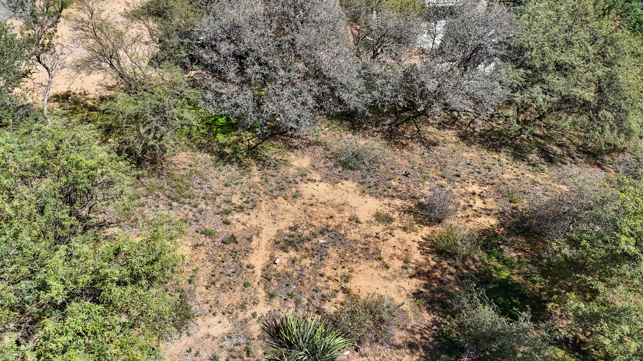 Lot Photo (4)
