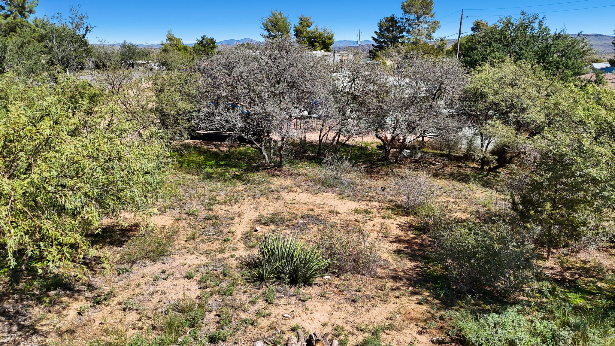 Lot Photo (5)