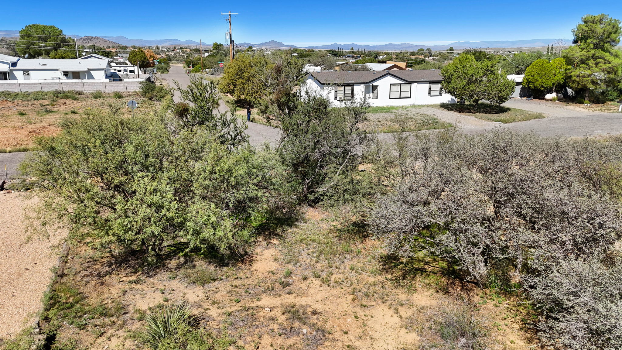 Lot Photo (6)