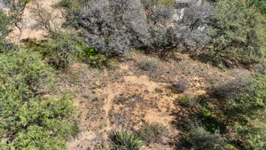 Lot Photo (4)