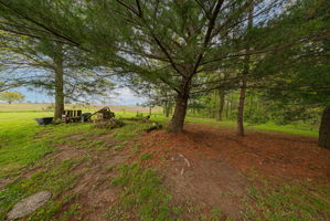 J.G. - 20889 Davis Rd, Raymond-83