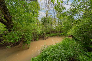 J.G. - 20889 Davis Rd, Raymond-89