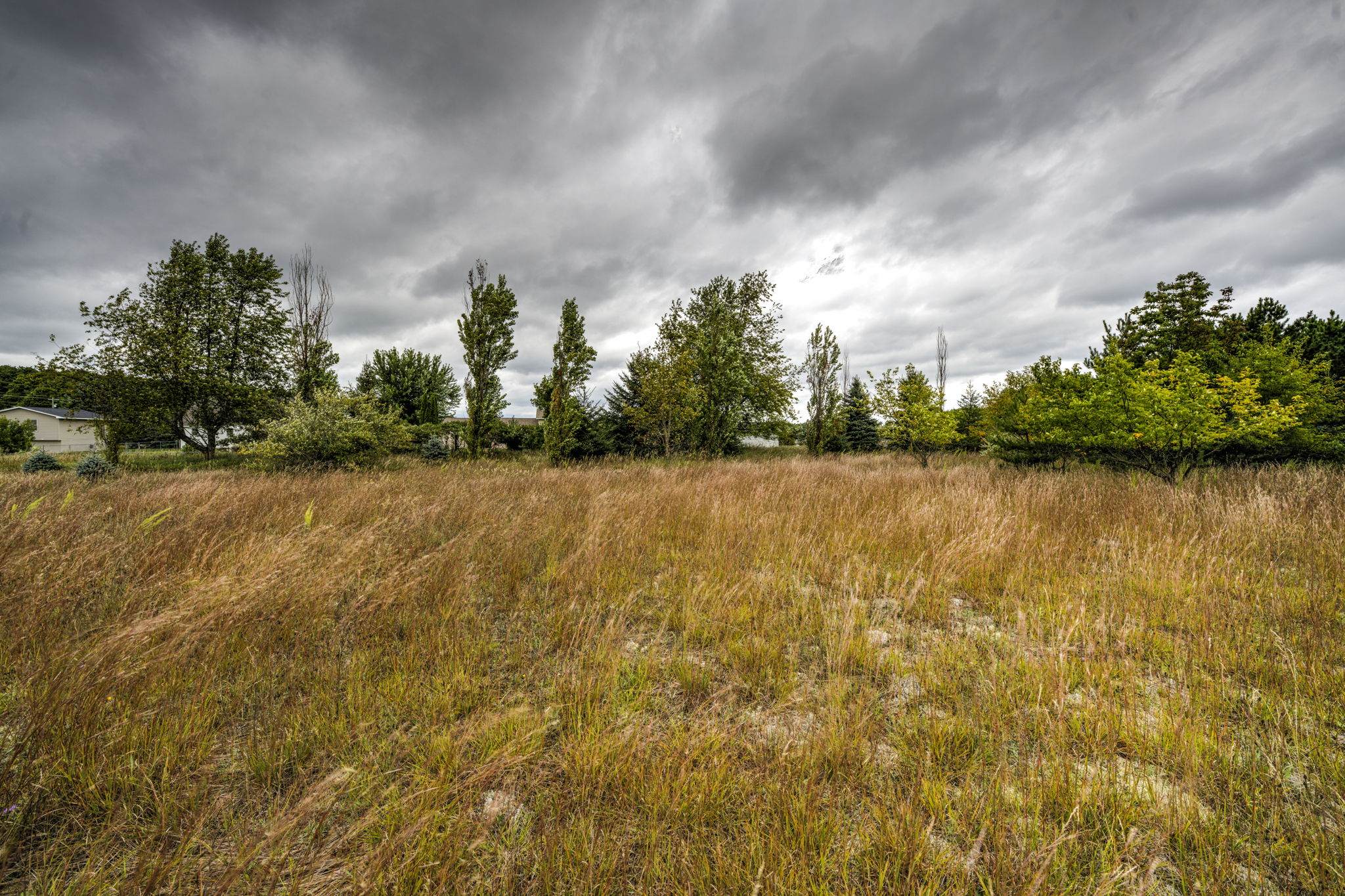  Photo 40