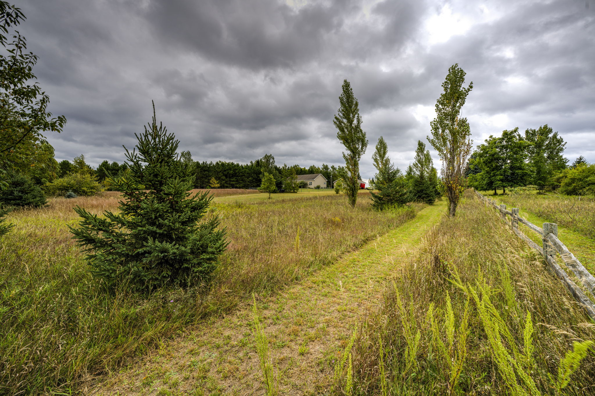  Photo 45