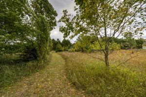  Photo 35