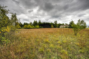 Photo 37