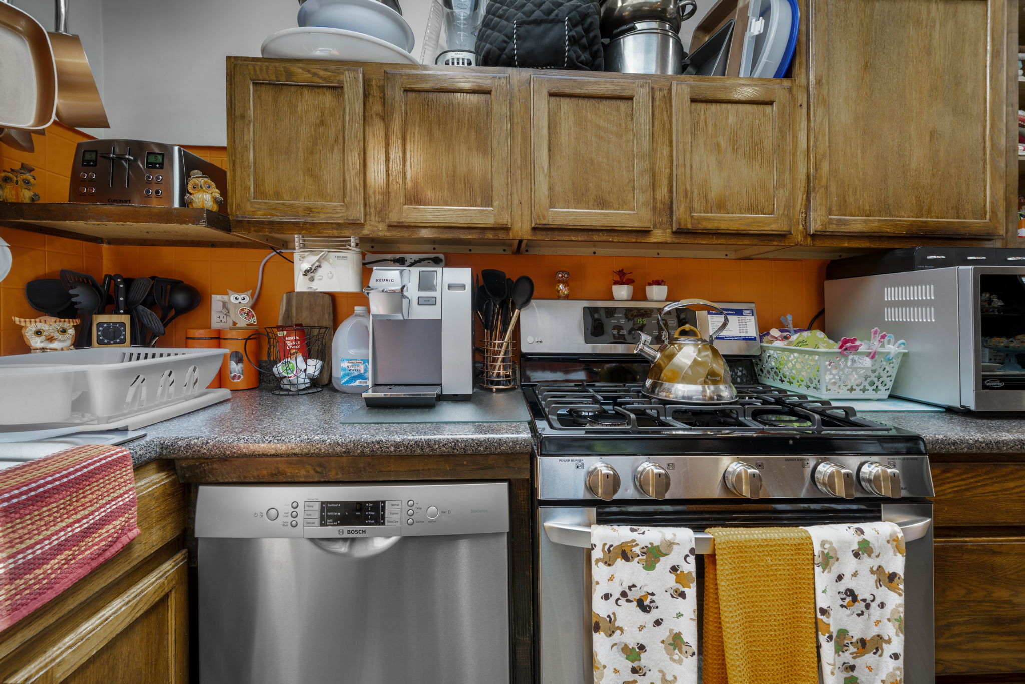  Photo 41