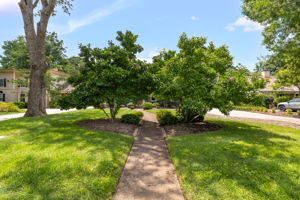 209 E Avondale Dr-2