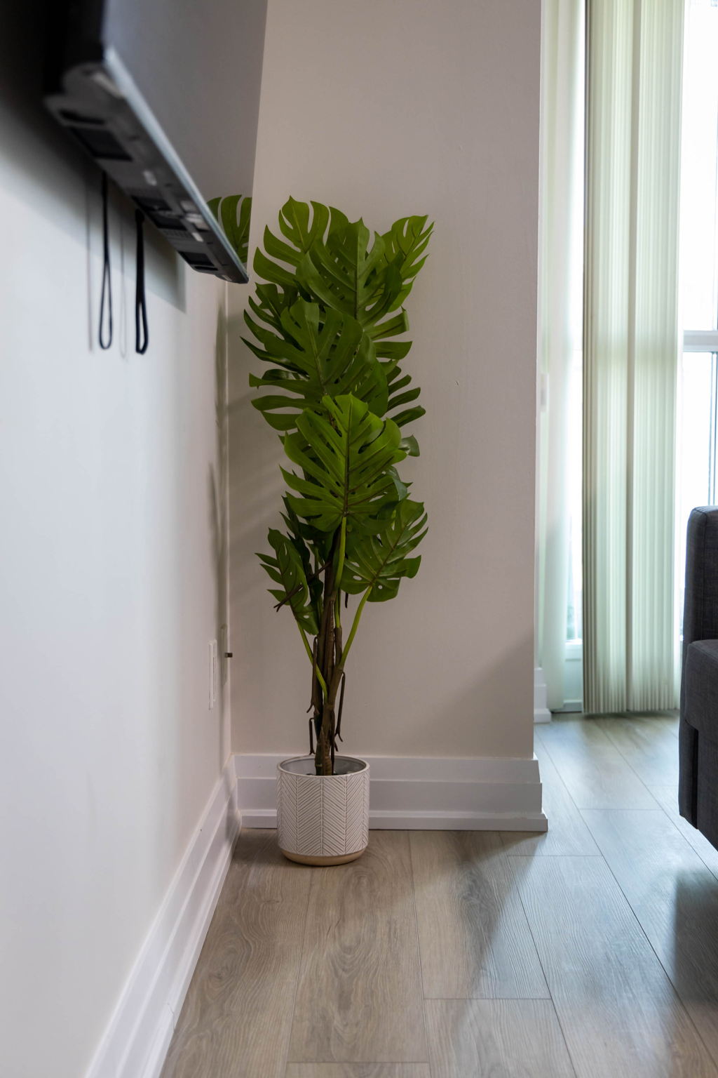 Toronto property showcase — delivered property photograph 18