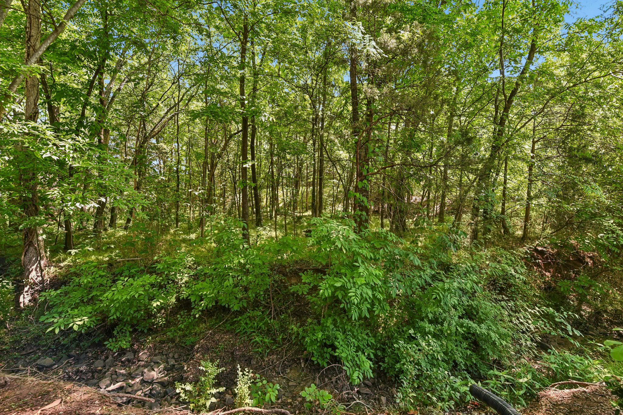 Glenmoor Dr-S2604-044.jpg