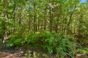 Glenmoor Dr-S2604-044.jpg