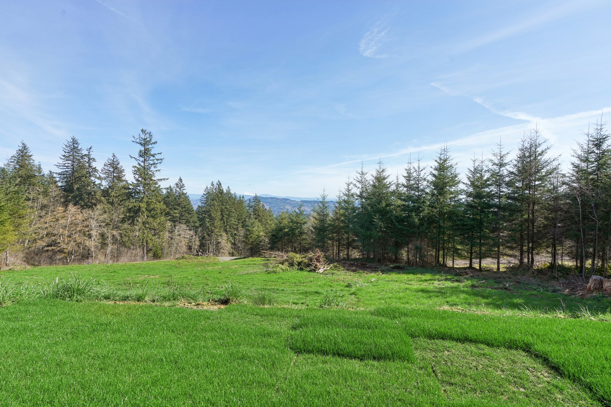 High Bank Ln-S0604-079.jpg