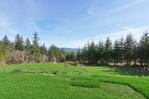 High Bank Ln-S0604-079.jpg