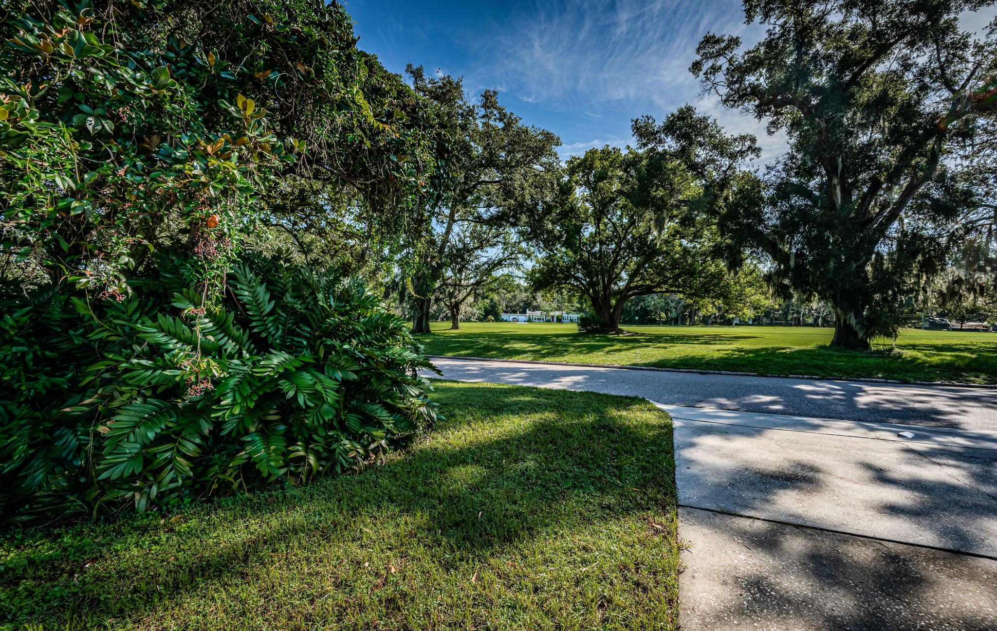 Frontyard1