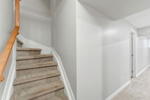  Photo 37