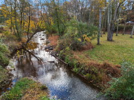 Lodal Creek On Property