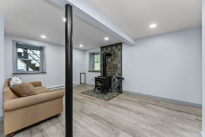 Lower Level Family Room