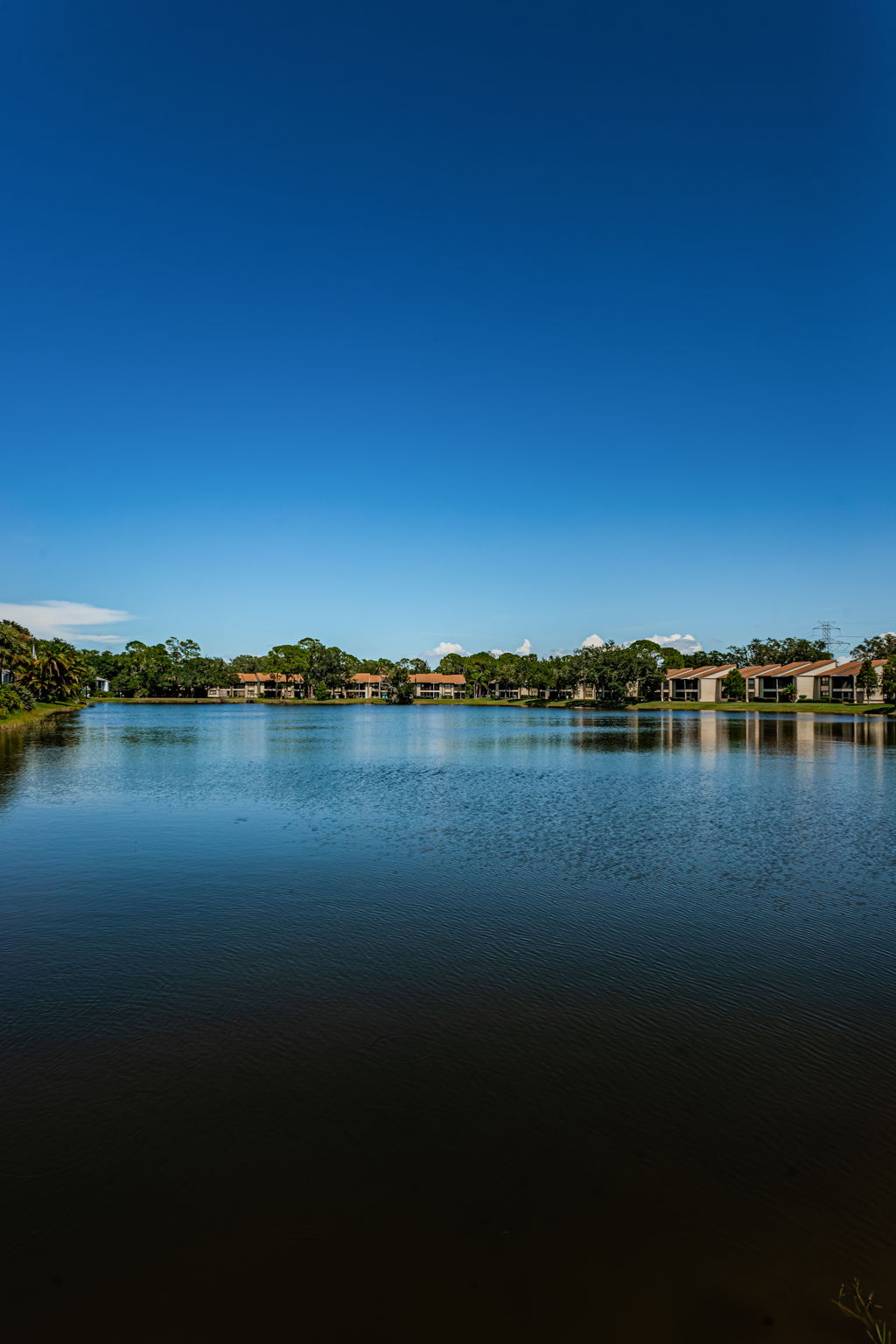 Community Pond2