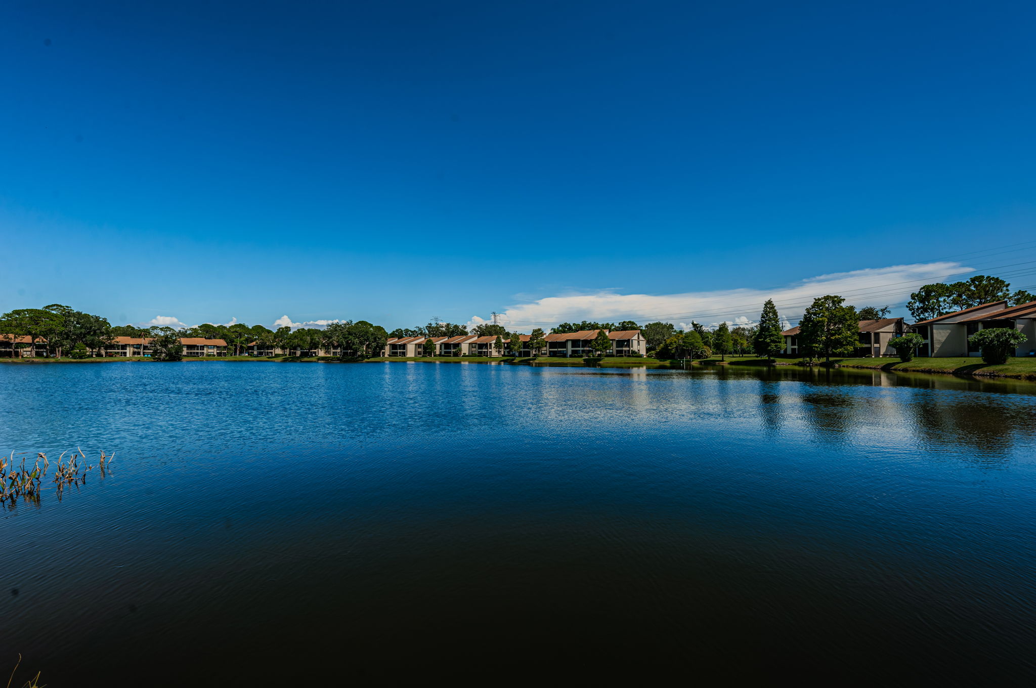 Community Pond3