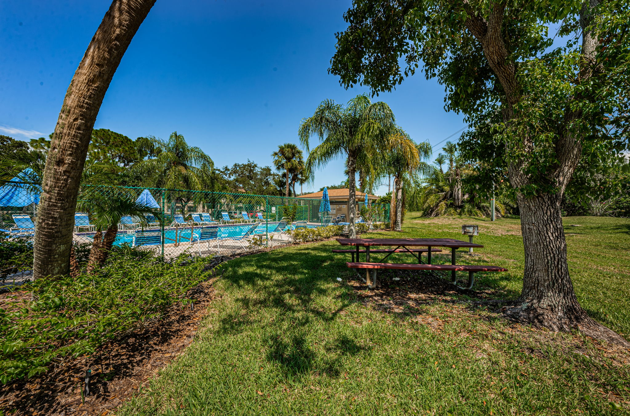 Pool1 Grilling Area1b