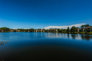 Community Pond3