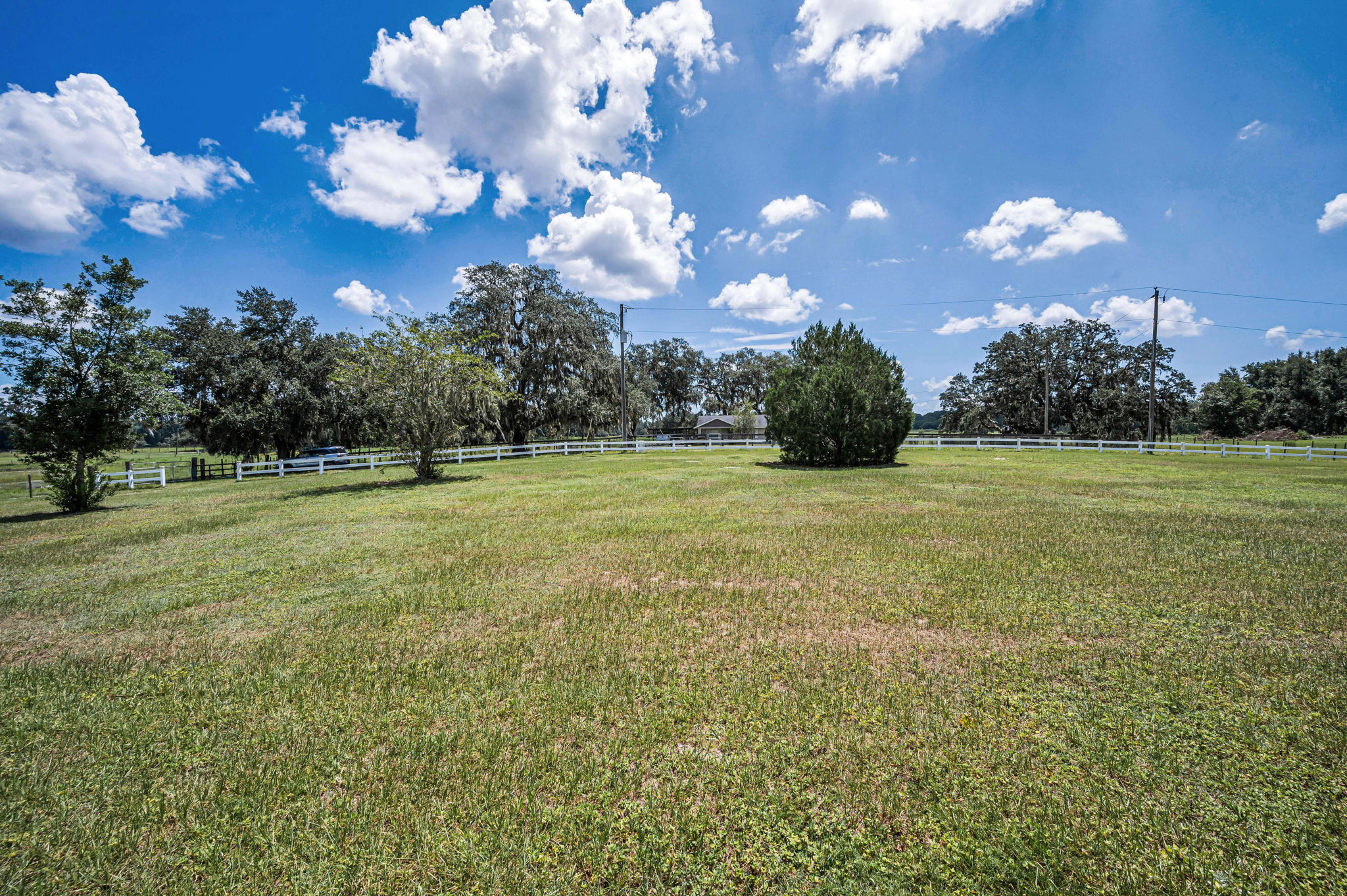 Frontyard1