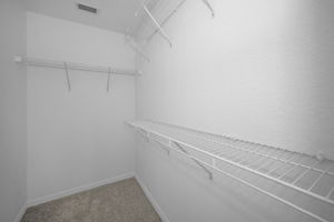 Primary Bedroom Walk-in Closet